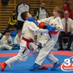 Österreichische Karate Meisterschaft 2024