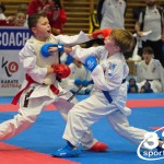 Österreichische Karate Meisterschaft 2024