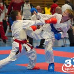 Österreichische Karate Meisterschaft 2024