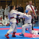 Österreichische Karate Meisterschaft 2024