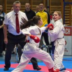 Österreichische Karate Meisterschaft 2024