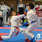 Österreichische Karate Meisterschaft 2024