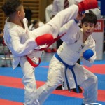 Österreichische Karate Meisterschaft 2024