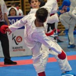 Österreichische Karate Meisterschaft 2024