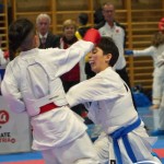 Österreichische Karate Meisterschaft 2024