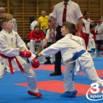 Österreichische Karate Meisterschaft 2024