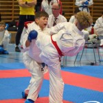 Österreichische Karate Meisterschaft 2024