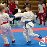 Österreichische Karate Meisterschaft 2024