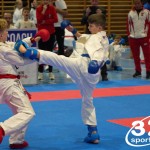 Österreichische Karate Meisterschaft 2024