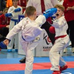 Österreichische Karate Meisterschaft 2024