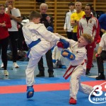 Österreichische Karate Meisterschaft 2024