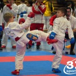 Österreichische Karate Meisterschaft 2024