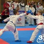 Österreichische Karate Meisterschaft 2024