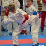 Österreichische Karate Meisterschaft 2024