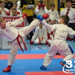 Österreichische Karate Meisterschaft 2024