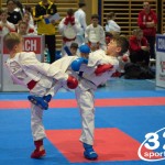 Österreichische Karate Meisterschaft 2024