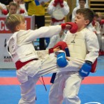 Österreichische Karate Meisterschaft 2024