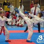 Österreichische Karate Meisterschaft 2024