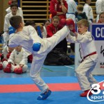 Österreichische Karate Meisterschaft 2024