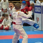 Österreichische Karate Meisterschaft 2024