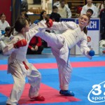 Österreichische Karate Meisterschaft 2024