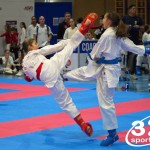 Österreichische Karate Meisterschaft 2024