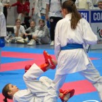 Österreichische Karate Meisterschaft 2024