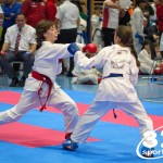 Österreichische Karate Meisterschaft 2024