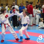 Österreichische Karate Meisterschaft 2024