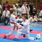 Österreichische Karate Meisterschaft 2024