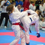 Österreichische Karate Meisterschaft 2024