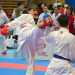 Österreichische Karate Meisterschaft 2024