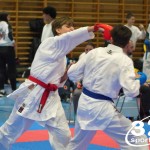 Österreichische Karate Meisterschaft 2024