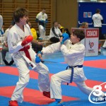 Österreichische Karate Meisterschaft 2024