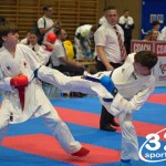 Österreichische Karate Meisterschaft 2024