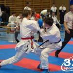 Österreichische Karate Meisterschaft 2024