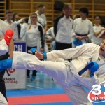 Österreichische Karate Meisterschaft 2024