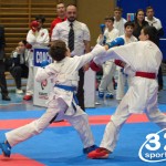 Österreichische Karate Meisterschaft 2024