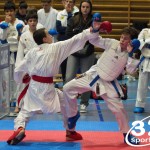 Österreichische Karate Meisterschaft 2024