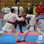 Österreichische Karate Meisterschaft 2024