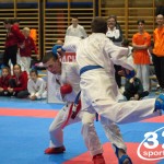 Österreichische Karate Meisterschaft 2024