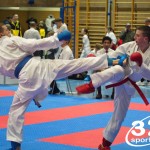 Österreichische Karate Meisterschaft 2024