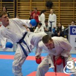 Österreichische Karate Meisterschaft 2024