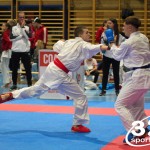 Österreichische Karate Meisterschaft 2024