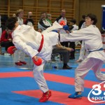 Österreichische Karate Meisterschaft 2024