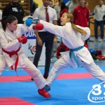 Österreichische Karate Meisterschaft 2024