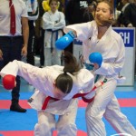 Österreichische Karate Meisterschaft 2024