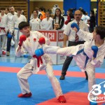 Österreichische Karate Meisterschaft 2024