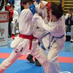 Österreichische Karate Meisterschaft 2024