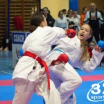 Österreichische Karate Meisterschaft 2024